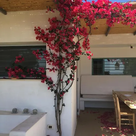 Villa Paradise Torre Guaceto Carovigno